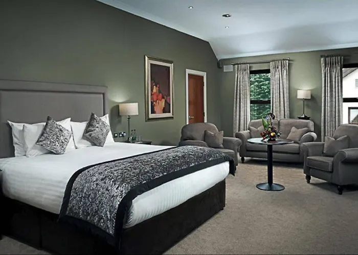 Hotell Conference And Leisure Centre Galway 4*