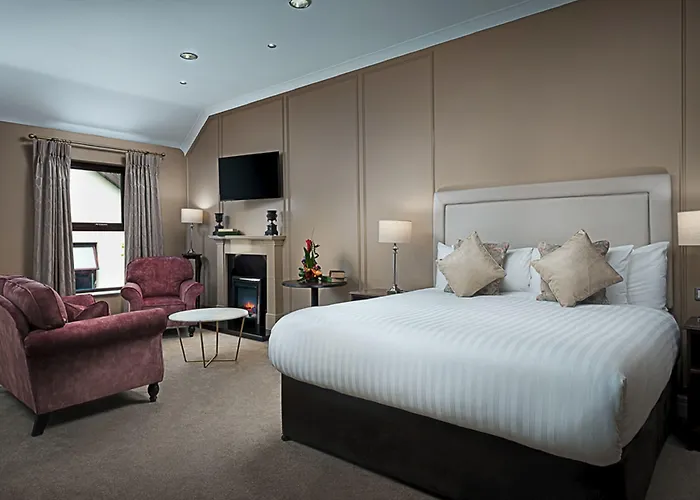 Conference And Leisure Centre Galway Hotell