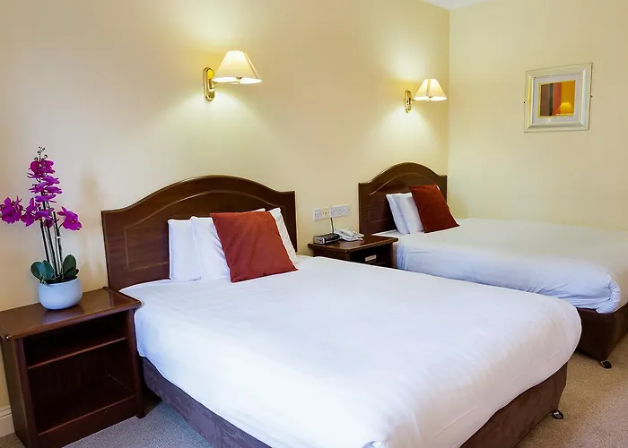 Hotell Conference And Leisure Centre Galway 4*